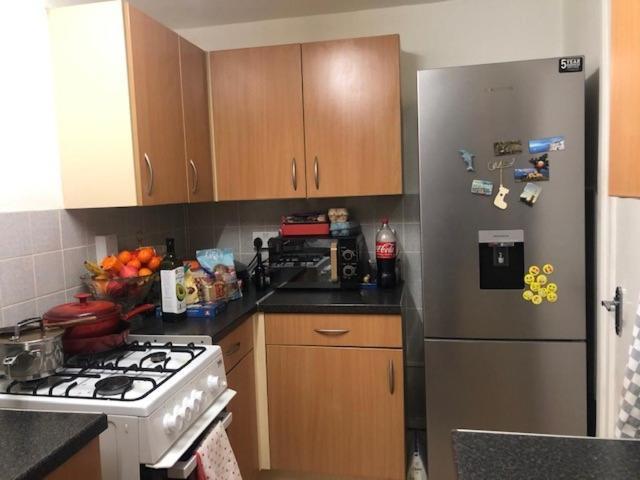 Beautiful Large Room In London Flat Екстериор снимка